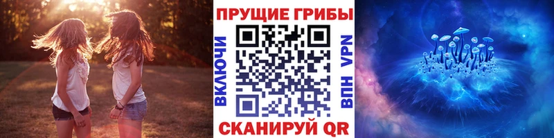 дарнет шоп  Саров  блэк спрут   Галлюциногенные грибы Magic Shrooms 